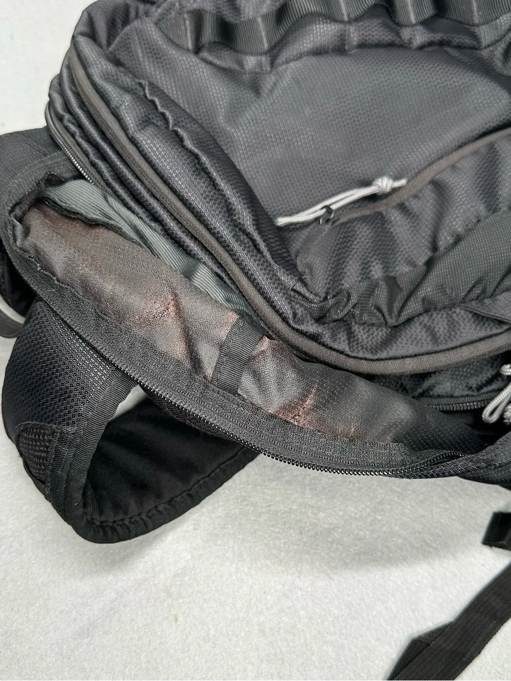 JANSPORT Agave 32L backpack